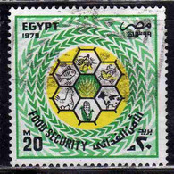 UAR EGYPT EGITTO 1979 8th ANNIVERSARY OF MOVEMENT TO ESTABILISH FOOD SECURITY 20m USED USATO OBLITERE' - Used Stamps