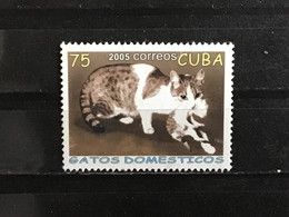 Cuba - Katten (75) 2005 - Used Stamps