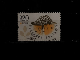 Bulgarije / Bulgaria - Paddenstoelen (0.20) 2014 - Used Stamps