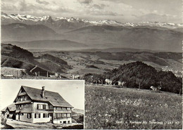 Gast- Und Kurhaus Alp Scheidegg WALD ZH Kühe - Wald