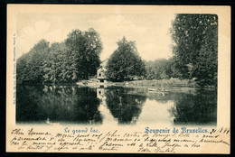CPA - Carte Postale - Belgique - Souvenir De Bruxelles - Le Grand Lac - 1899 (CP20583) - Forêts, Parcs, Jardins