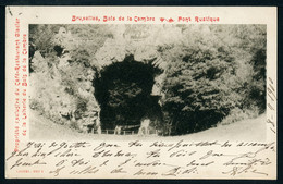 CPA - Carte Postale - Belgique - Bruxelles - Bois De La Cambre - Pont Rustique - 1900 (CP20585) - Forêts, Parcs, Jardins