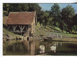 CPM NAOURS - Le Moulin à Eau - Naours