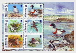 Alderney 2011 MS - Alderney Bailiwick Birds - Alderney