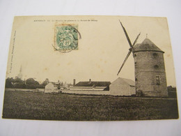 CPA - Artenay (45) - Le Moulin De Pierre Et La Route De Patay- 1907 - SUP - (GL 79) - Artenay