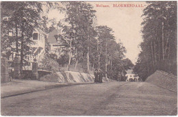 Bloemendaal Mollaan M3689 - Bloemendaal