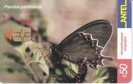 Nº 245 (CHIP ROJO) TARJETA DE URUGUAY DE UNA MARIPOSA  (BUTTERFLY) - Uruguay