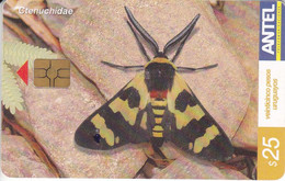 Nº 389 TARJETA DE URUGUAY DE UNA MARIPOSA (BUTTERFLY) - Uruguay