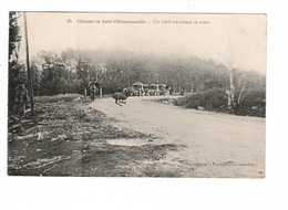 60 Chasse En Forêt D'ERMENONVILLE, Un Cerf Traversant La Route. - Otros Municipios