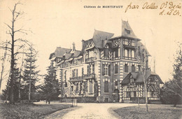 CPA 41 CHATEAU DE MONTIFAUT - Altri & Non Classificati