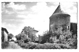 Coulonges Sur L'Autize, Lot De 2 Cartes : Les Tours De La Ferme Du Payré / Monument Aux Morts (A8p51) - Coulonges-sur-l'Autize