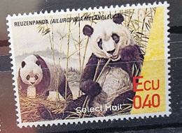 PAYS BAS (poste Locale) Panda . Yvert 1993. Neuf Sans Charnière (MNH) - Osos