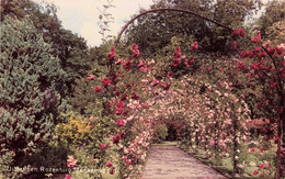 Uithuizen Menkemaborg Rozentuin C1906 - Uithuizen