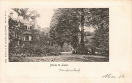 Lisse Bosch Keukenhof C1910 - Lisse