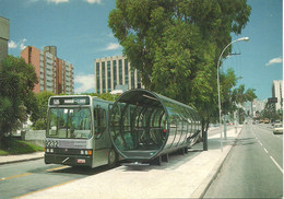 Brasil - Curitiba - Onibus Ligeirinho E Estação Tubo - Bus - Curitiba