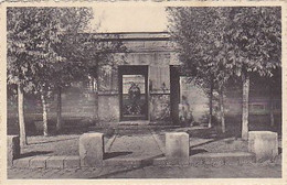 AK 059804 BELGIUM - Langemarck - Duitsch Krijgskerkhof - Langemark-Poelkapelle