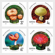 Romania 2022 / Mushrooms / Set 4 Stamps - Hongos
