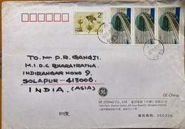 CHINA 2002, BEE ON FLOWER,MODERN BRIDGE ON DATONG RIVER PROJECT, WATER,4 STAMPS USED, COVER TO INDIA - Brieven En Documenten