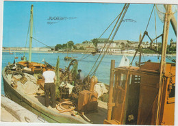 Finistère : DOUARNENEZ  TREBOUL : Vue  Du Port - Douarnenez