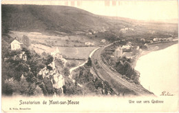 CPA Carte Postale Belgique- Mont Sur Meuse - Sanatorium  Vue Vers Godine 1905 VM50875 - Yvoir