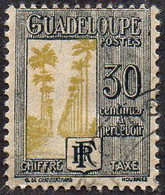 Guadeloupe Obl. N° Taxe 32 - Allée Dumanoir, à Capesterre, 30c Gris Et Jaune-olive - Impuestos