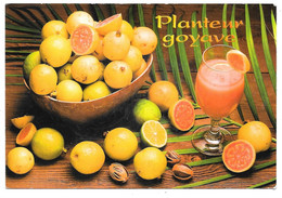Planteur Goyave : Rhum Blanc, Sucre De Canne, Angustura, Muscade - Ed. Exbrayat - Format : 11.7 X 17 Cm - Cocktail - Recettes (cuisine)