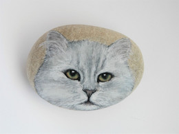 Chinchilla Cat Hand Painted On A Beach Stone Paperweight - Pisapapeles