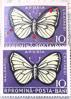 Errors Romanua 1956  # MI 1586 White Butterfly  Printed  With Move Moth Shifted To The Right Unused - Plaatfouten En Curiosa
