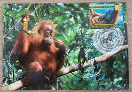 Nations Unies / Genève - CM 1998 - YT N°365 - Les Forêts Tropicales Humides - Maximumkarten