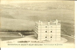 CP Sanatorium De MONT-SUR-MEUSE " Vue De La Maison Du Directeur " ( MONT-Godinne / YVOIR ) + Préo Bruxelles 1904 - Yvoir
