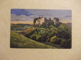 Schloss Lenzburg (6736) - Lenzburg