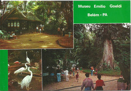 Brasil - Belem - Museu Emilio Goeldi - Belém