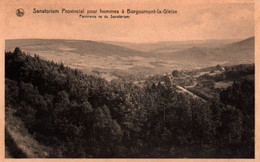 Borgoumont La Gleize (Sanatorium Provincial Pour Hommes) - Panorama Vu Du Sanatorium - Stoumont