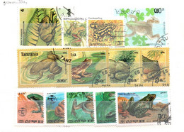 7606 LOT DE 13  TIMBRES    GRENOUILLE  Grenouilles  Batracien   Divers - Frogs