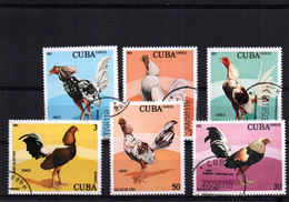 7607 LOT DE 6  TIMBRES    COQS COQ Combat ?  Divers - Fattoria