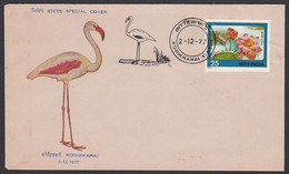 India 1977 KODIKKARAI - FLAMINGO Bird - Inaguration Of Permanent Pictorial Postmark Special Cover (**) Inde Indien RARE - Briefe U. Dokumente