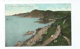 Devon  Postcard Ilfracombe The Parade Unused Valentine's - Ilfracombe