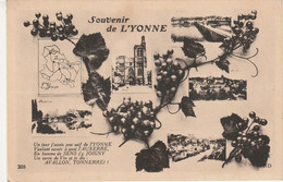 YONNE  89  SOUVENIR DE L'YONNE   MULTIVUES - - Sonstige & Ohne Zuordnung