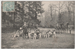 CARTE POSTALE   Rendez Vous Dans La Forêt De SAINT ARNOULT 78 - St. Arnoult En Yvelines