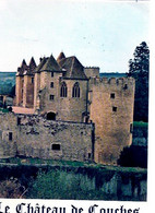 Livre - Le Château De Couches (Saone Et Loire) - Franche-Comté