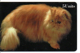 Chat Cat Katze Télécarte édition Limitée  Phonecard ( D 794) - [10] Sammlungen