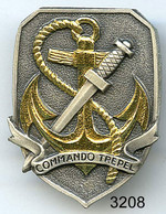 3208 - COMMANDO - COMMANSO TREPEL - Armée De Terre