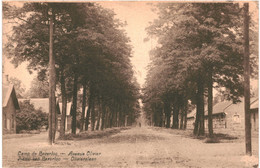 CPA Carte Postale Belgique  Camp De Beverloo Avenue Olivier 1928 VM50913 - Leopoldsburg (Kamp Van Beverloo)