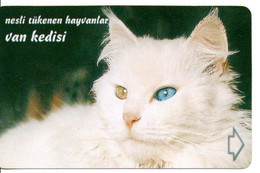 Chat Cat Katze Télécarte Turquie  Phonecard ( D 799) - Türkei