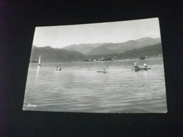 CANOA CANNOTTAGGIO STRESA NOVARA - Canottaggio