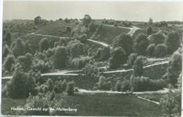 Holten 1961; Gezicht Op De Holterberg - Gelopen. (Hotel Holterman) - Holten