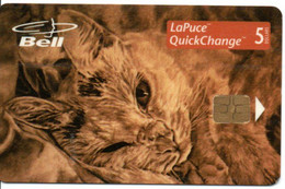 Chat Cat Katze Concourt  D'art Télécarte BELL Canada Phonecard ( D 807) - Canada