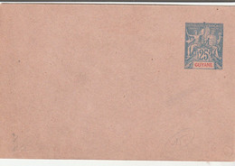 GUYANE - Entier Postal Type Sage 25 C Bleu -  Neuf - Enveloppe Format 11,5 X 7,5 Cm - Rabat Non Collé - Covers & Documents