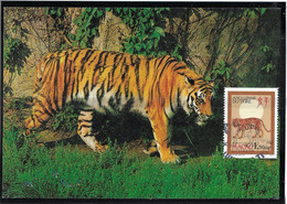 Macau Macao – 1986 Tiger Year Maximum Card - Lettres & Documents