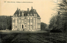 La Chapelle Thireuil * Le Château Du Bois Chapeleau - Autres & Non Classés